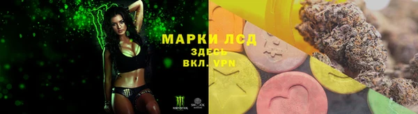 a pvp Алзамай