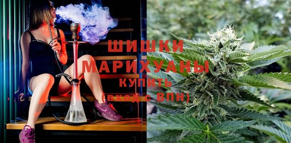 a pvp Алзамай