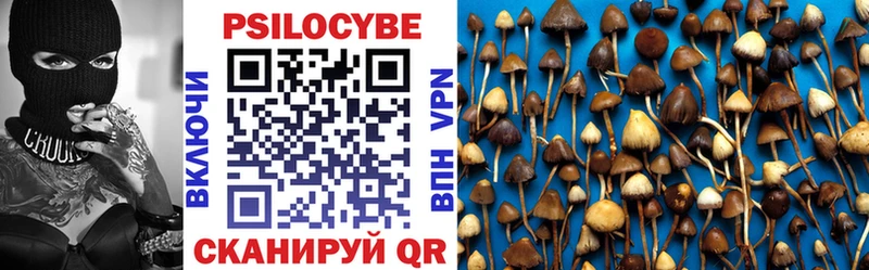 продажа наркотиков Архангельск Галлюциногенные грибы Psilocybine cubensis